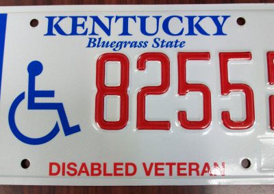 Disabled Veteran