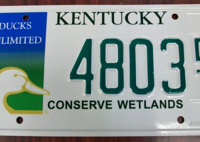 Ducks Unlimited