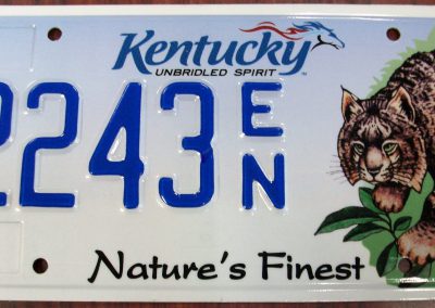 Natures Finest - Bobcat