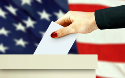 2020 Primary Election Results